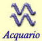 Leggi l'oroscopo dell'ACQUARIO